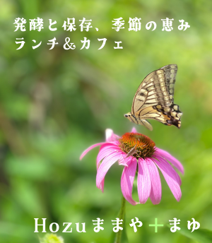 ���y�ƕۑ��A�G�߂̌b�݃����`���J�t�F�AHozu�܂܂�{�܂�